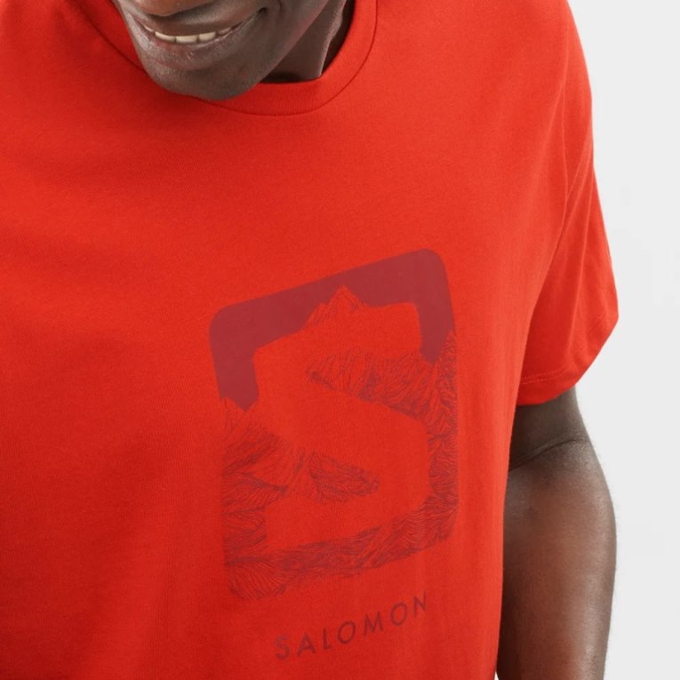 Camiseta Salomon Outlife Logo Corta Sleeve Hombre Naranjas | MX FSOW103